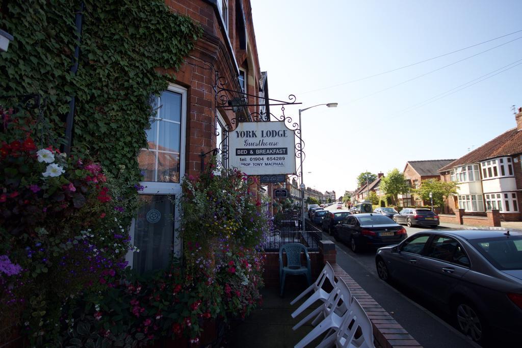 York Lodge Guesthouse Ngoại thất bức ảnh