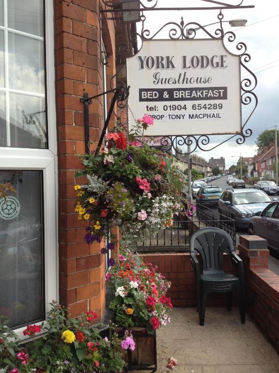 York Lodge Guesthouse Phòng bức ảnh